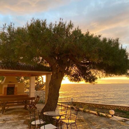 Apartment L'Odore Del Mare Dolac Dış mekan fotoğraf