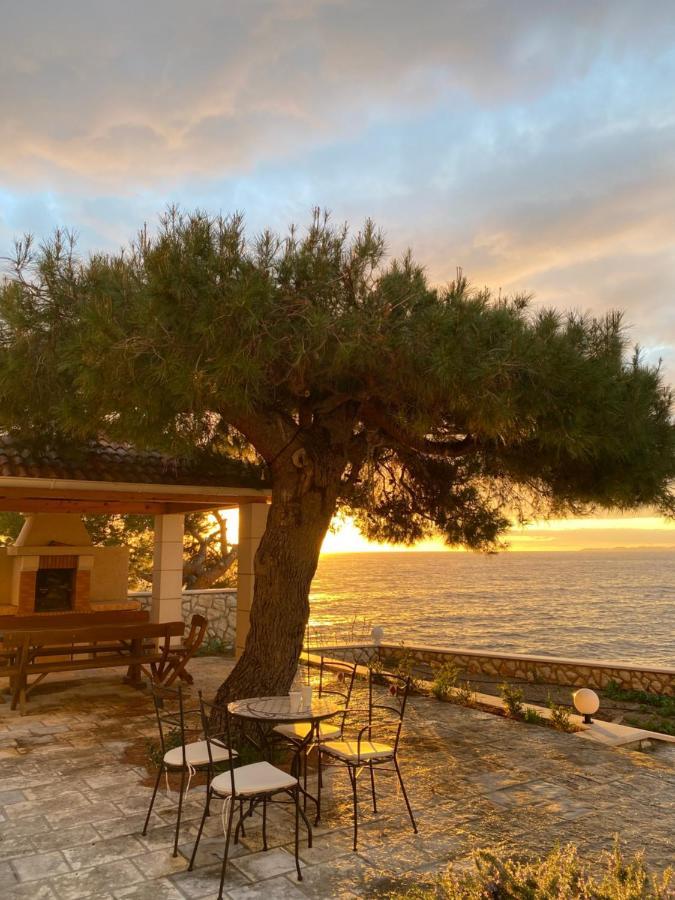 Apartment L'Odore Del Mare Dolac Dış mekan fotoğraf